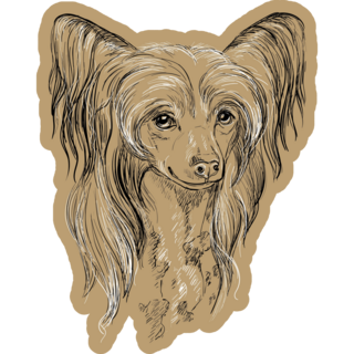 Painted Chinese Crested Sticker