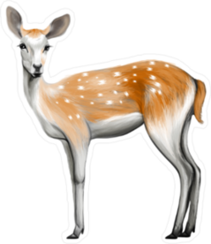 Painted Deer Sticker