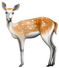 Painted Deer Sticker