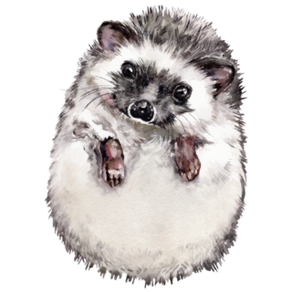 Painted Hedgehog Sticker 