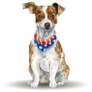 Painted Jack Russell Sticker