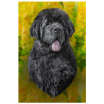 Painted Newfoundland Sticker