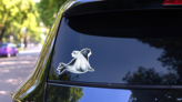 Painted Sea Lions In Love Illustration Sticker on a Rear Car Window (New) example