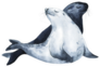Painted Sea Lions In Love Illustration Sticker