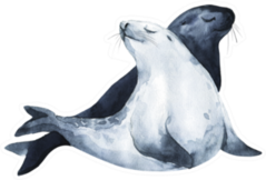 Painted Sea Lions In Love Illustration Sticker