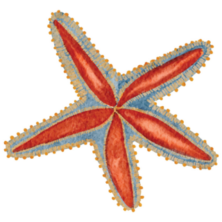 Painted Starfish Sticker