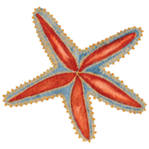 Painted Starfish Sticker