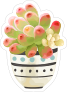 Painted Succulent in Bowl Sticker