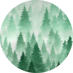 Painted Watercolor Foggy Forest Sticker