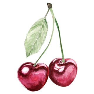 Painting Cherry Sticker