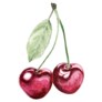 Painting Cherry Sticker