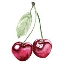 Painting Cherry Sticker