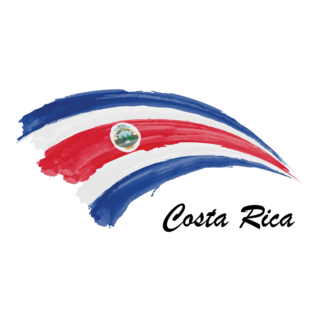 Painting Flag Of Costa Rica Sticker