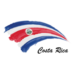 Painting Flag Of Costa Rica Sticker