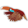 Painting Of A Toucan Flying Sticker