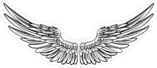 Pair Of Spread Out Angel Wings