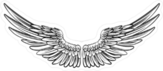 Pair Of Spread Out Angel Wings