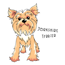 Pale Cream Yorkshire Terrier Sticker
