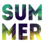 Palm Summer Text Sticker
