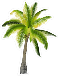 Palm Tree Hand Drawing Sticker