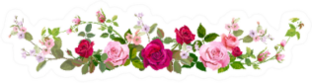 Panoramic View: Bouquet Of Roses Sticker