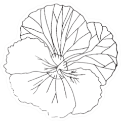 Pansies Line Flower Black And White Sticker