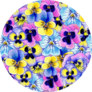 Pansies Seamless Pattern Vibrant Illustration Sticker