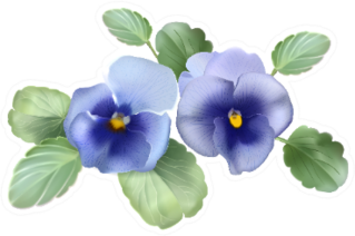 Pansies. Violets. Bouquet Of Flowers Sticker
