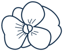 Pansy Flower Illustration Simple Sticker