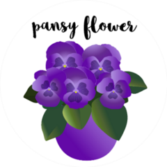 Pansy Flower Violet House Plant In The Pot Sticker
