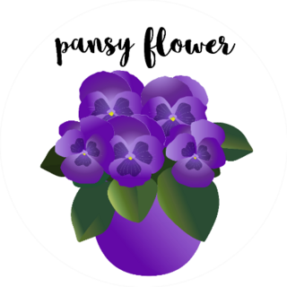 Pansy Flower Violet House Plant In The Pot Sticker