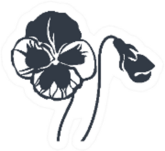 Pansy Icon Isolated On Sticker