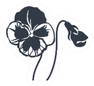 Pansy Icon Isolated On Sticker