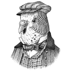 Parakeet Fashionable Sticker