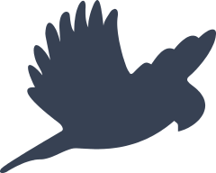 Parakeet Flying Sticker