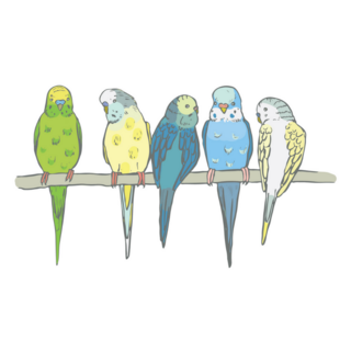 Parakeet Group Sticker