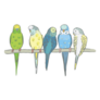 Parakeet Group Sticker