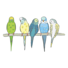 Parakeet Group Sticker