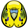 Parakeet Head Sticker