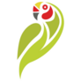 Parakeet Logo Sticker