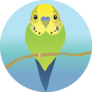 Parakeet On A Perch Sticker
