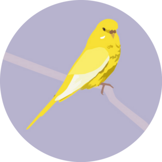 Parakeet On Purple Sticker
