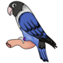 Parakeet Perched Sticker
