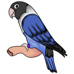 Parakeet Perched Sticker