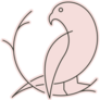 Parakeet Pink Line Sticker