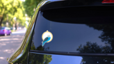 Parakeet Sitting Sticker on a Rear Car Window (New) example