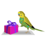 Parakeet With Present Sticker