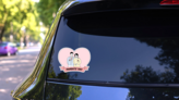 Parents Day Illustration Se Carnation Flower Sticker on a Rear Car Window (New) example