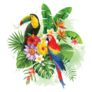 Parrot, Toucan, and Palm Leaves Sticker