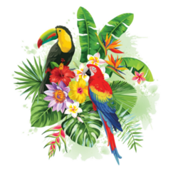 Parrot, Toucan, and Palm Leaves Sticker